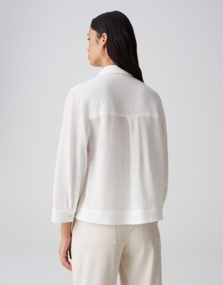 FRATEA 1004 