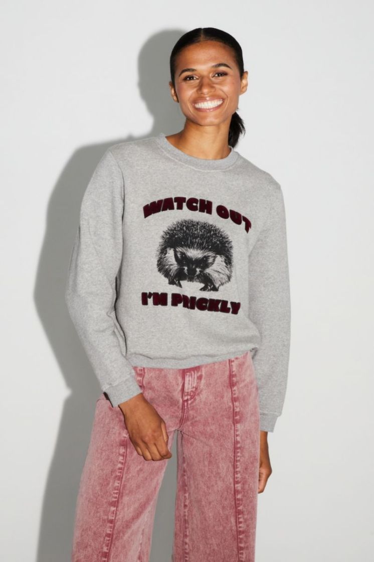 SWEATSHIRT PRICKLY GRIS